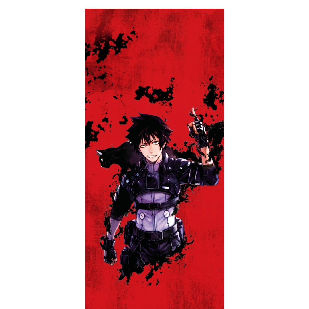 overlay