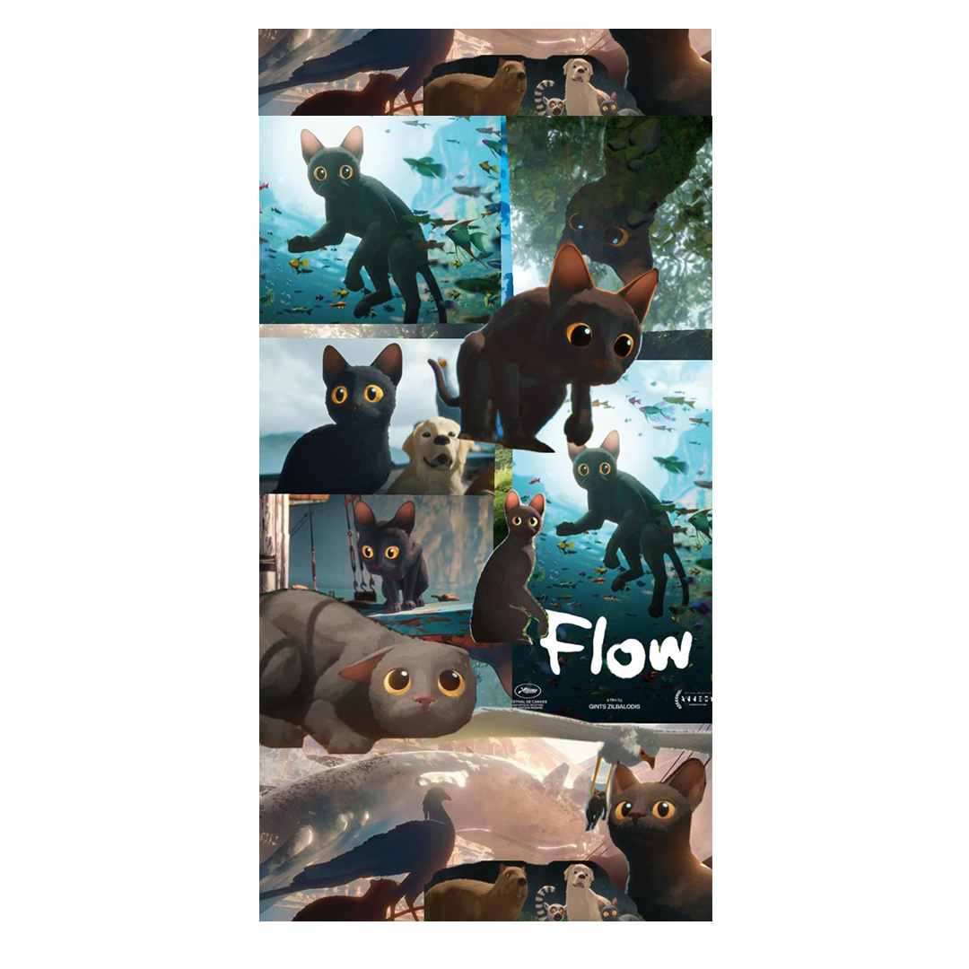 overlay