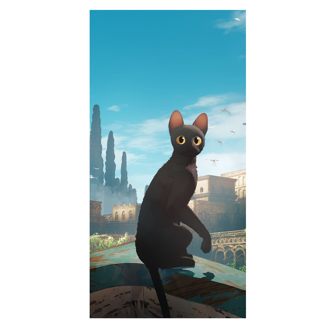 overlay