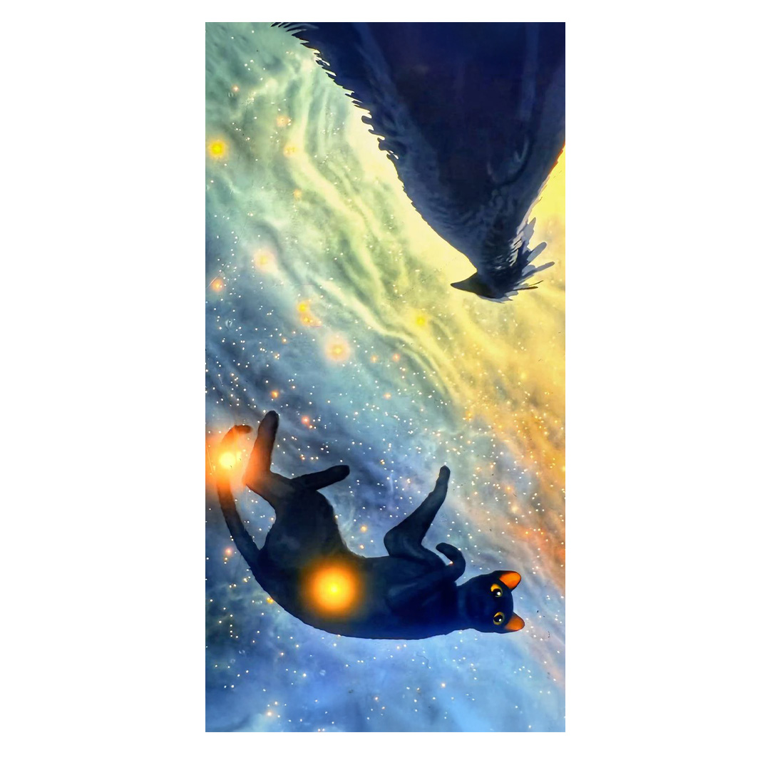 overlay