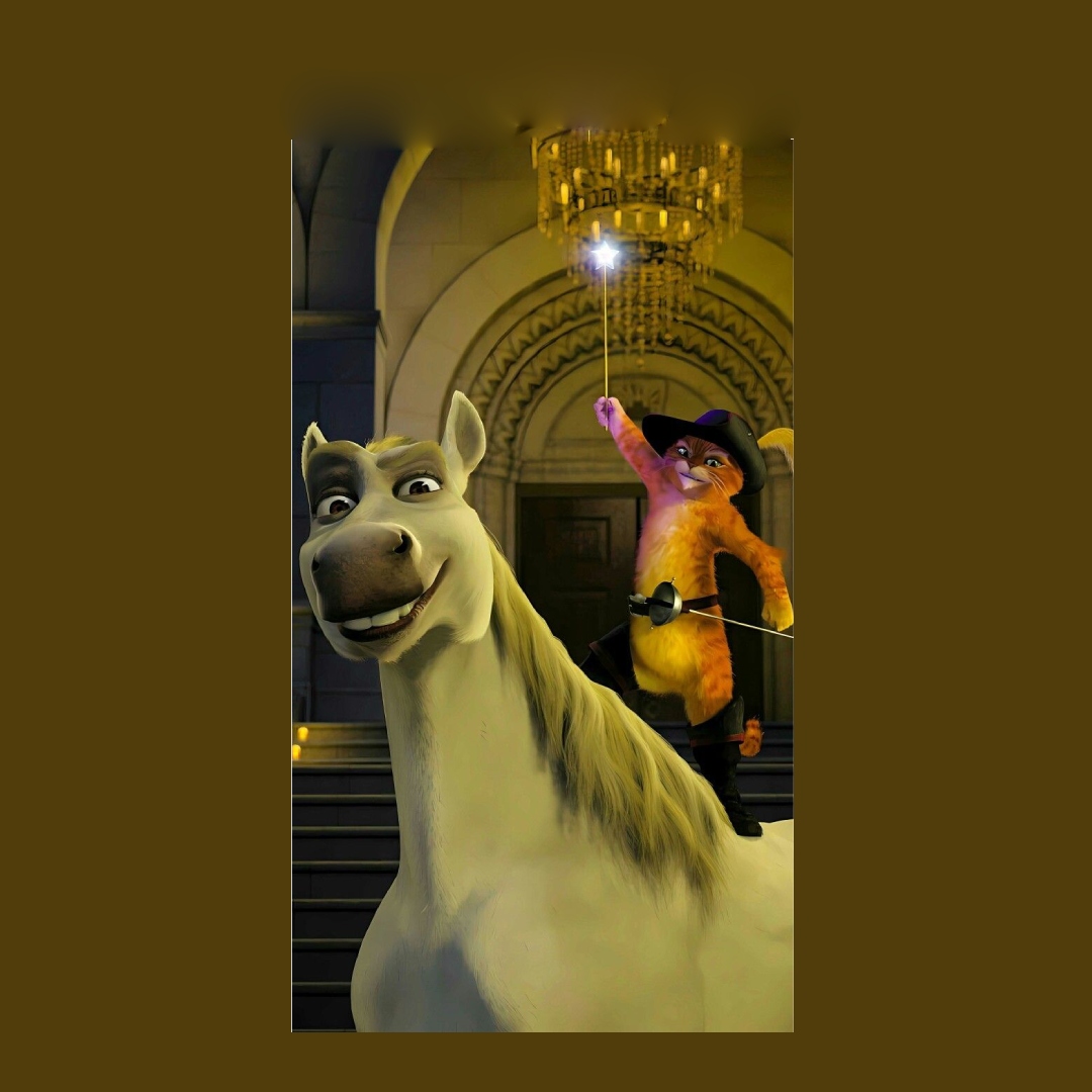 overlay