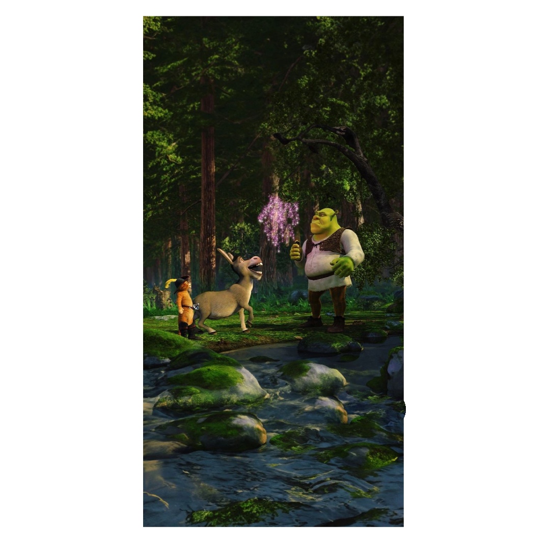 overlay