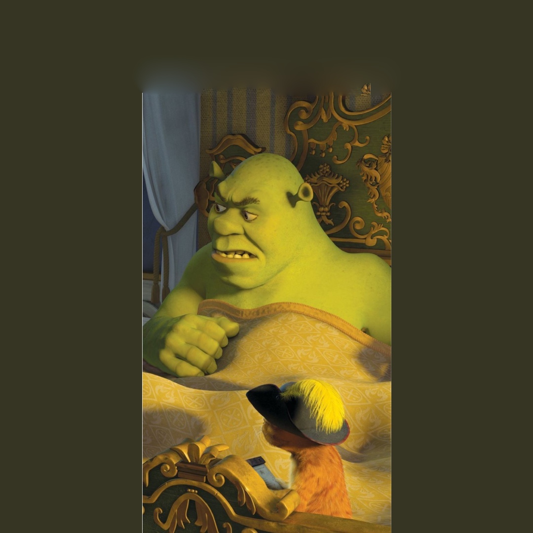 overlay