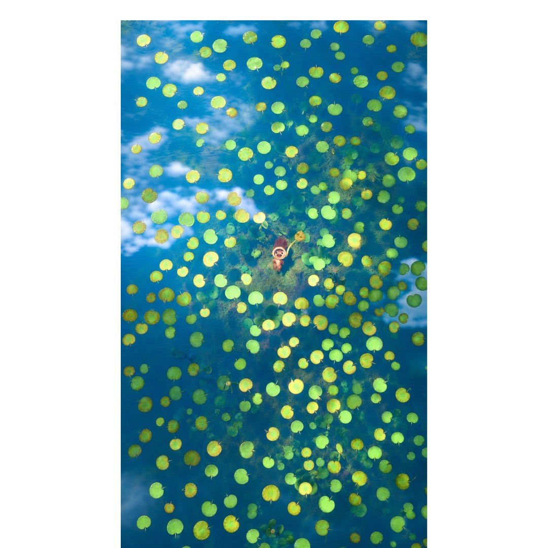 overlay