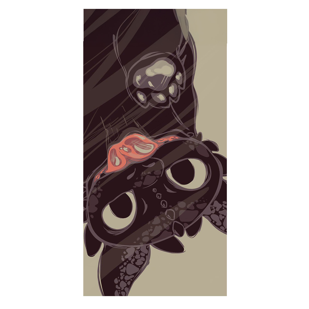 overlay