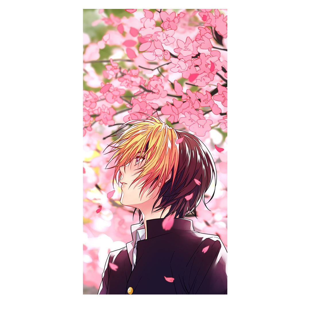overlay