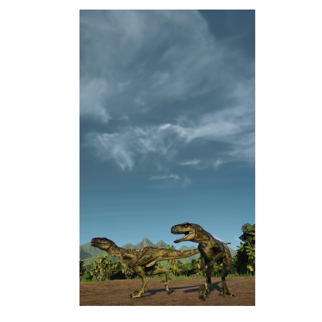 overlay