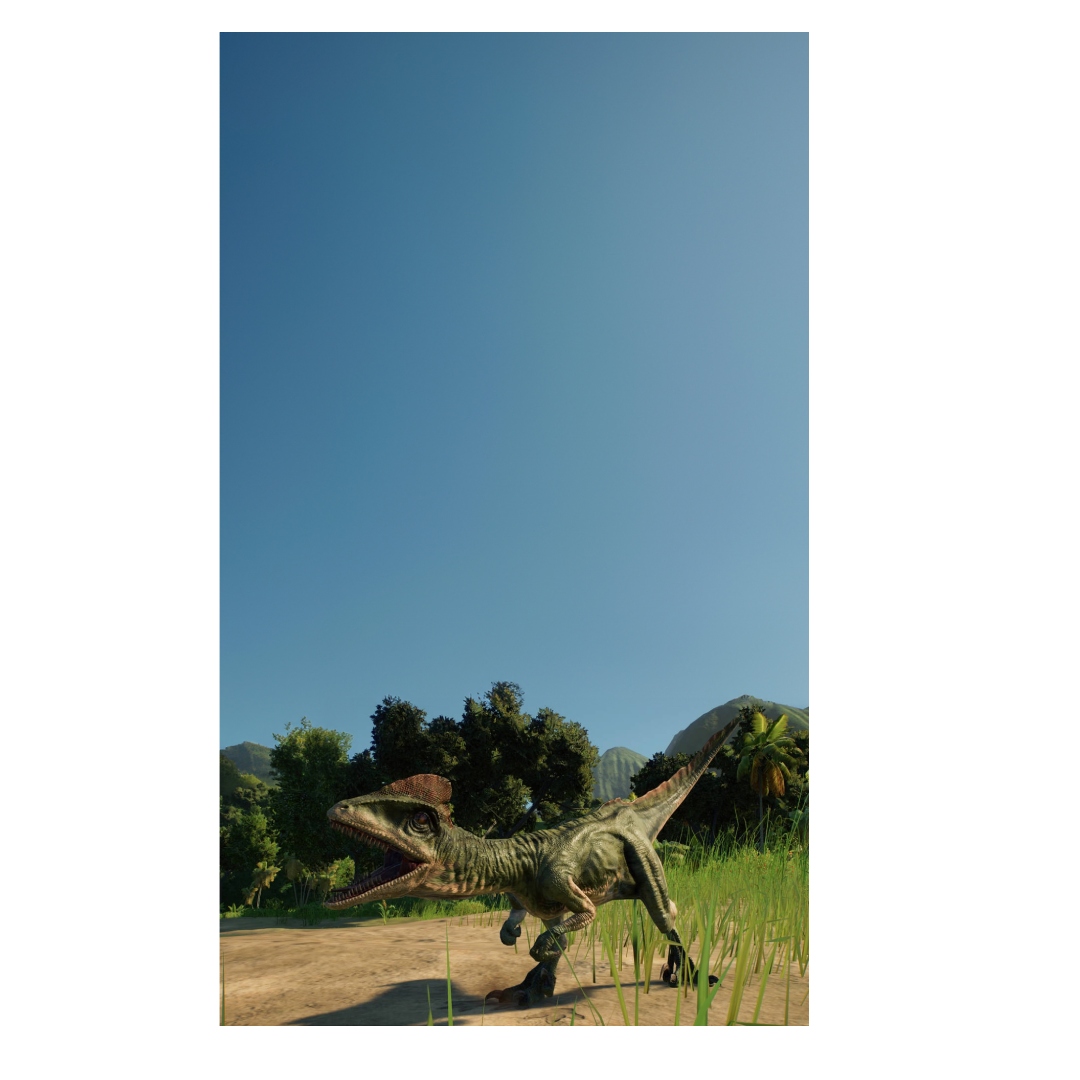 overlay