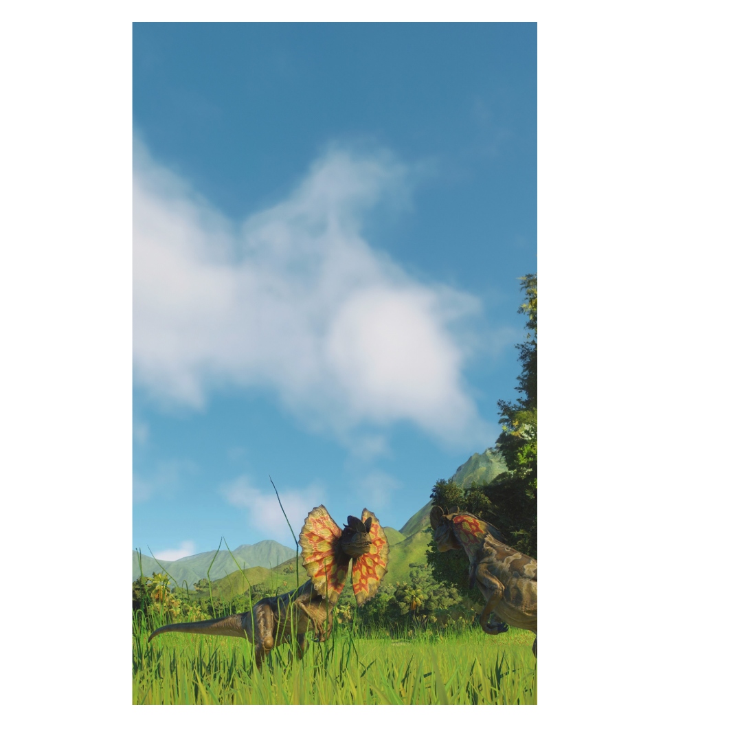 overlay