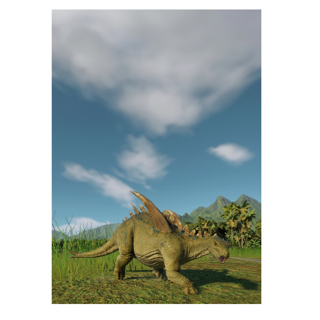 overlay