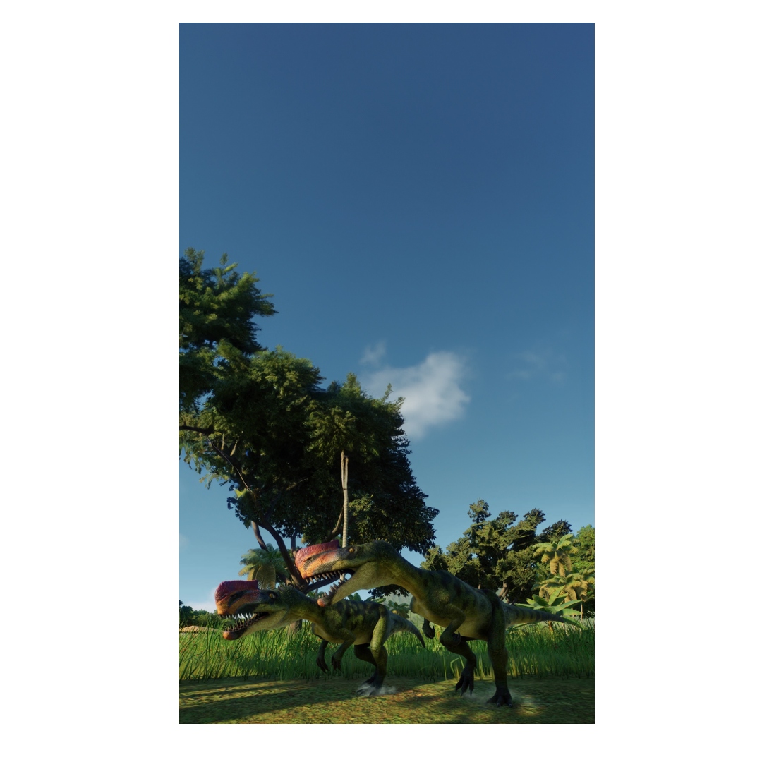 overlay
