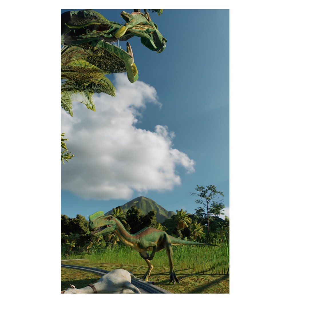 overlay