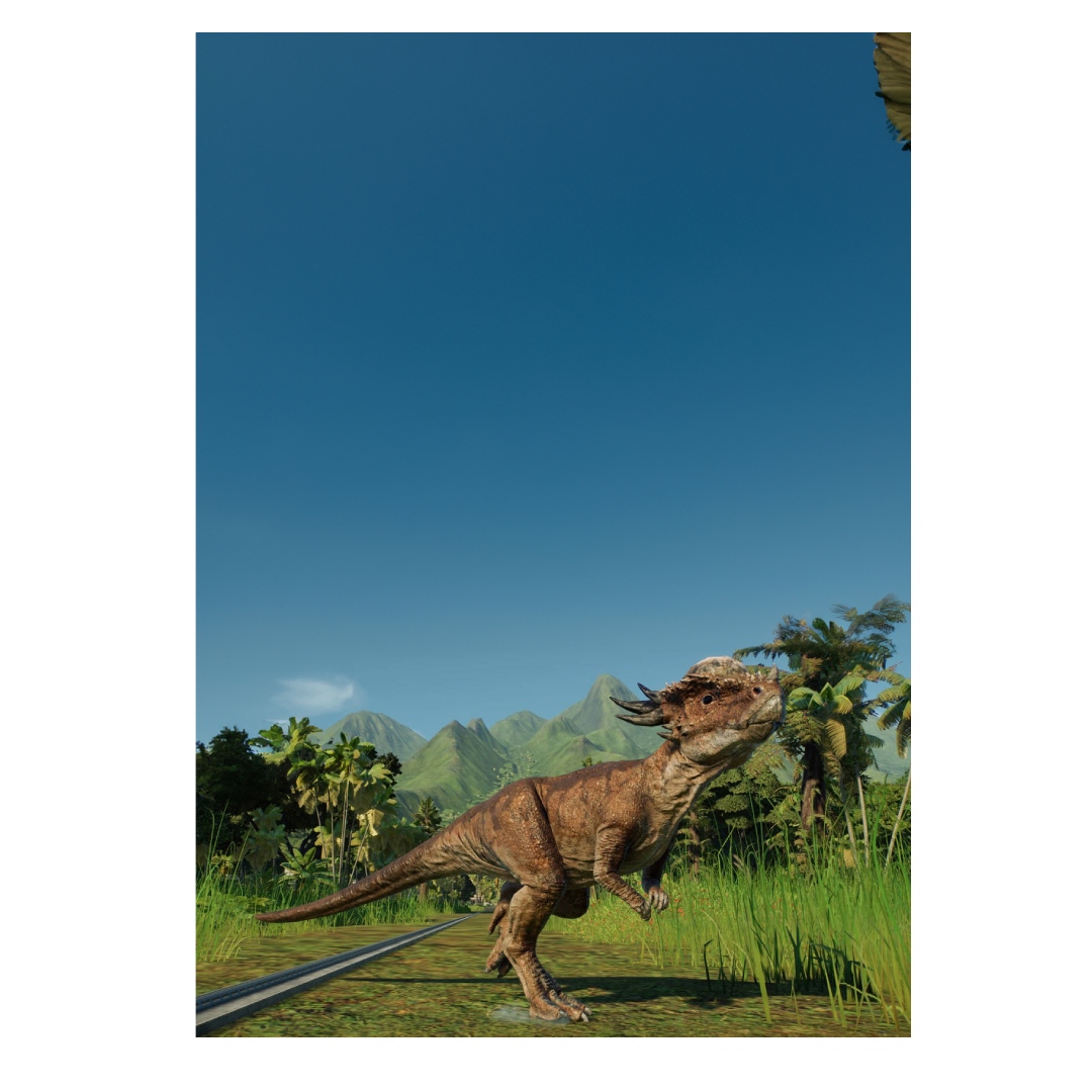 overlay