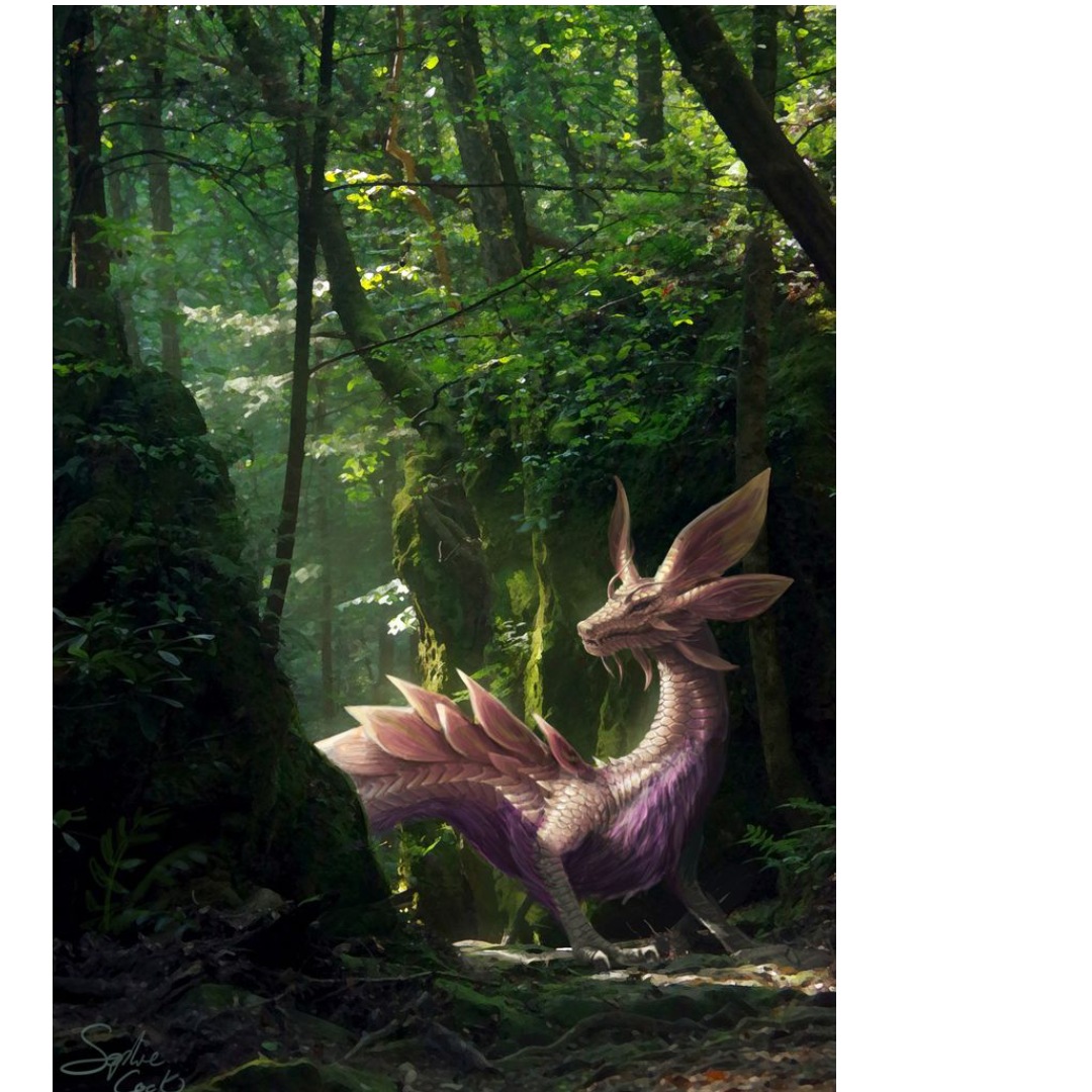 overlay