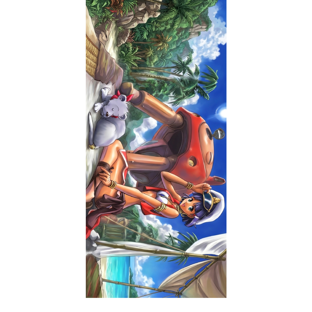 overlay