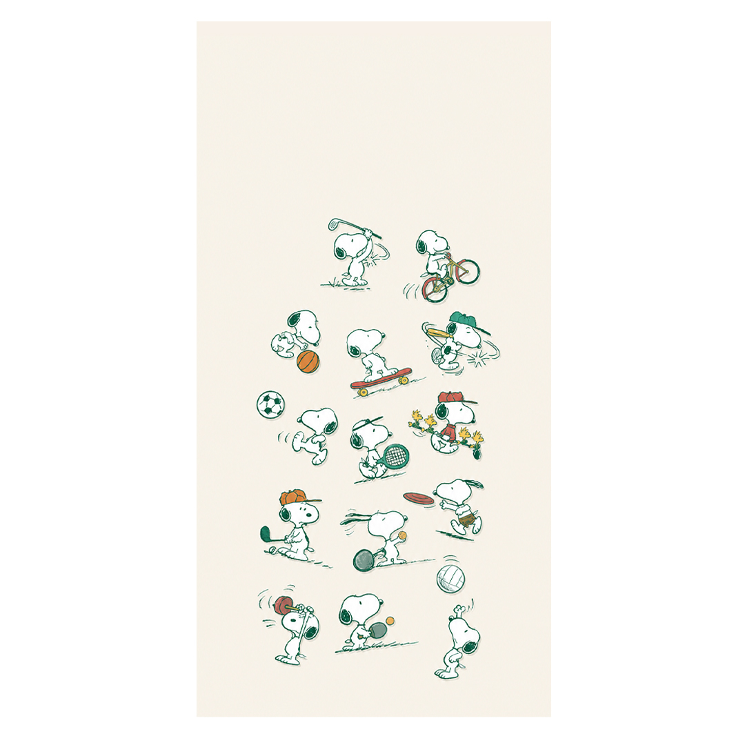 overlay