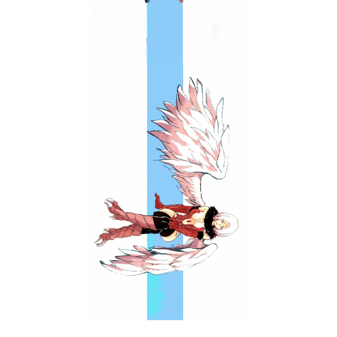 overlay