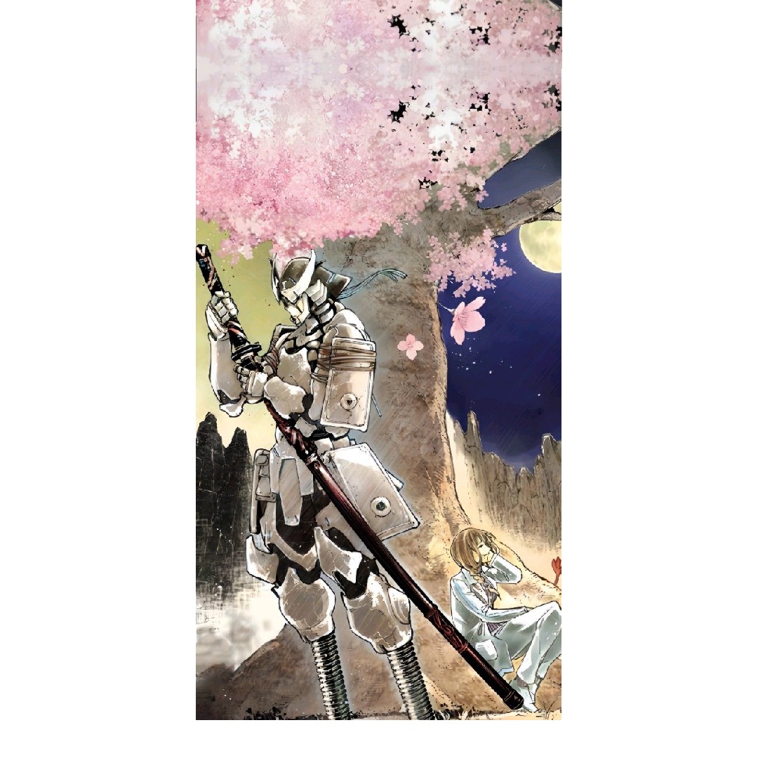 overlay