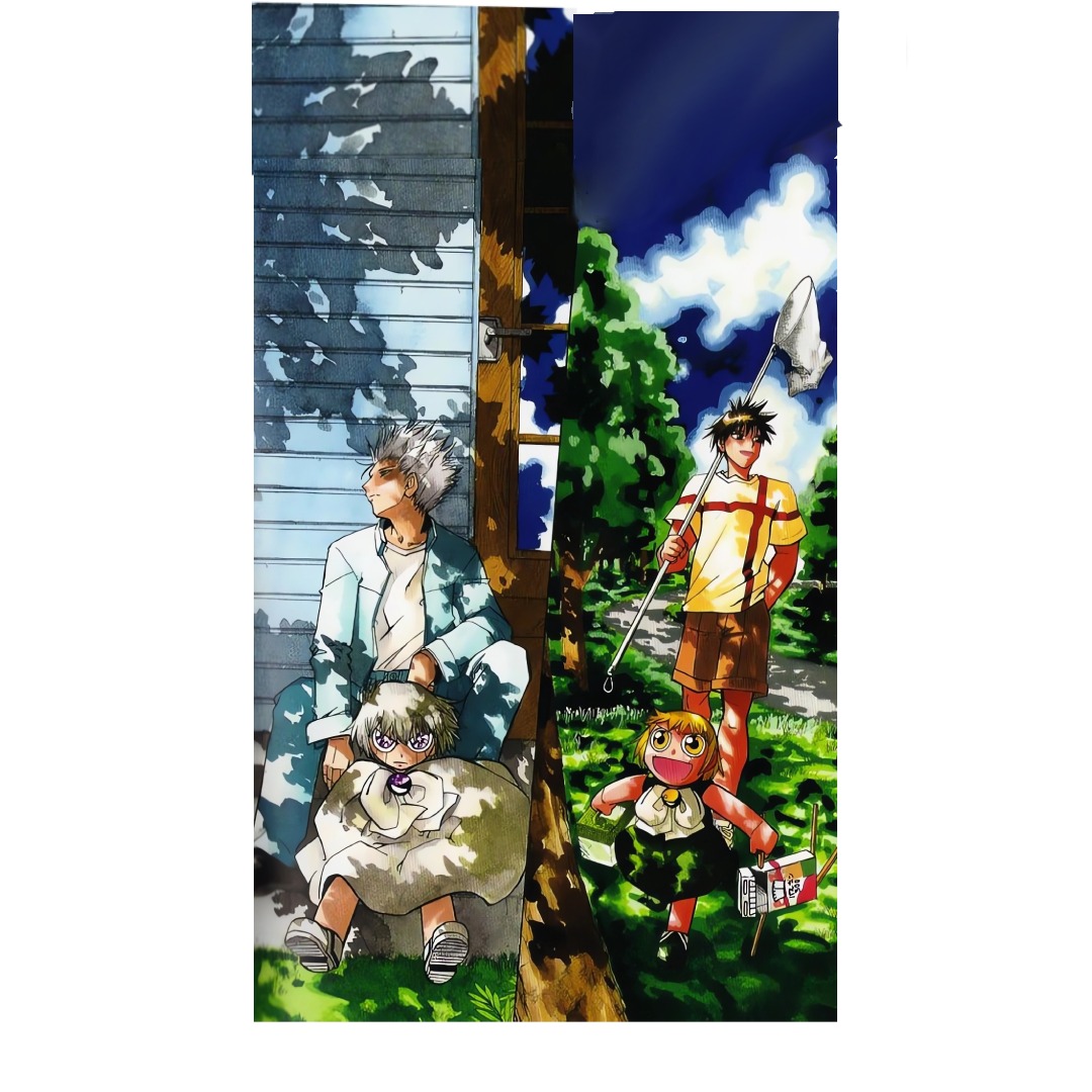 overlay
