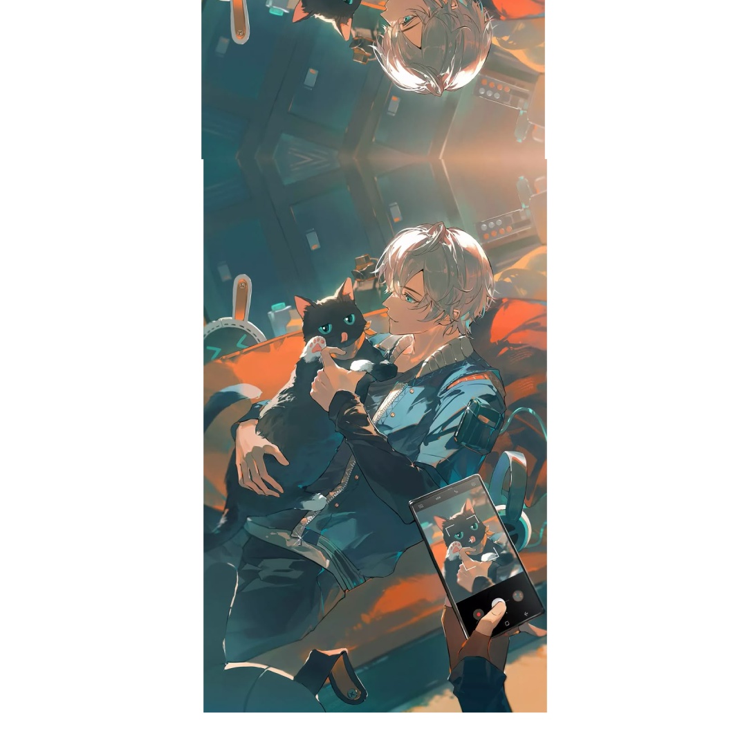 overlay