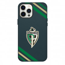 Prince Albert Raiders Phone Case For iPhone Samsung Galaxy Pixel OnePlus Vivo Xiaomi Asus Sony Motorola Nokia - Large Logo Stripe