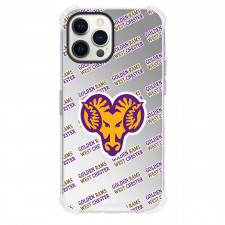 Albany State University Golden Rams Phone Case For iPhone and Samsung Galaxy Devices - Albany State University Golden Rams College Football Medley Monogram Wordmark