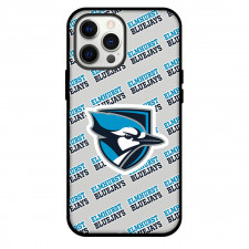 Elmhurst University Bluejays Phone Case For iPhone and Samsung Galaxy Devices - Elmhurst University Bluejays College Football Medley Monogram Wordmark