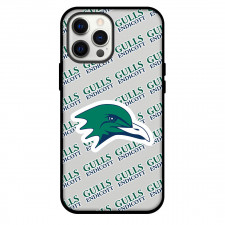 Endicott College Gulls Phone Case For iPhone and Samsung Galaxy Devices - Endicott College Gulls College Football Medley Monogram Wordmark