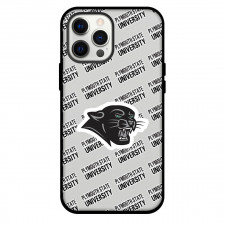 Plymouth State University Panthers Phone Case For iPhone and Samsung Galaxy Devices - Plymouth State University Panthers College Football Medley Monogram Wordmark