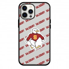 Salisbury University Seagulls Phone Case For iPhone and Samsung Galaxy Devices - Salisbury University Seagulls College Football Medley Monogram Wordmark