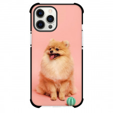 Pomeranian Dog Phone Case For iPhone Samsung Galaxy Pixel OnePlus Vivo Xiaomi Asus Sony Motorola Nokia - Pomeranian Dog Sitting on Pink Background
