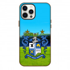 Bury Town Phone Case For iPhone Samsung Galaxy Pixel OnePlus Vivo Xiaomi Asus Sony Motorola Nokia - Logo Field Stadium Background Football Club