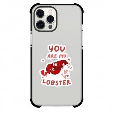 Friends TV Show Phone Case For iPhone Samsung Galaxy Pixel OnePlus Vivo Xiaomi Asus Sony Motorola Nokia - Friends TV Show You Are My Lobster Sticker Art